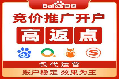 行业领先企业的SEM推广代运营实战经验